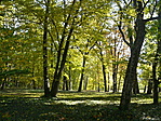 A rejtekadó erdő