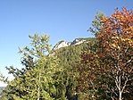 A cél