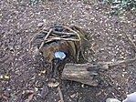 GCSOR_20121022143321.jpg