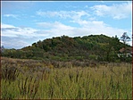 Visszafelé