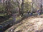 A Rákos-patak mellett
