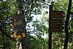 Csomópont