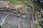 földközelben