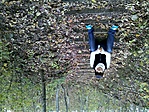 GCORKO_2012114151130.jpg