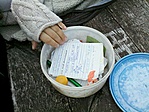 GCORKO_2012114153750.jpg