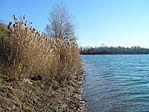 Budakalász, bányató