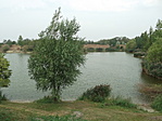 tó