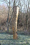 Kopjafa - Pula