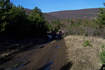 Visszaúton 1
