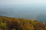 Panoráma