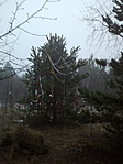 NagyKarácsony