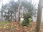 GCHeKa_2012126121423.jpg
