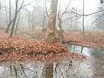 GCHeKa_2012126121429.jpg