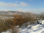 GCPOMA_20130116122507.jpg