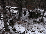 most erdő