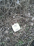GCTO_2013021105222.jpg