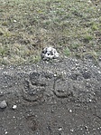 GCTO_2013021105601.jpg