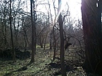 GCKALI_20130216111007.jpg