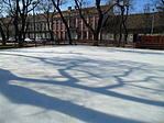 Jégmező