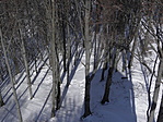 Ott bújik valahol