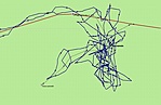Track