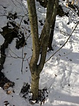 2.fa