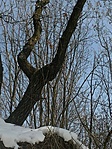 3.fa