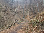 GCHold_20130310114201.jpg