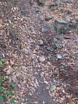 GCHold_20130310114251.jpg
