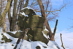 kutyafej