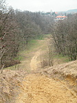 Tetőröl