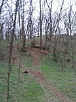 GCKSzd_2013041154203.jpg