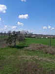 GC250_20130413122910.jpg