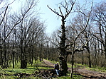 A piros sáv jelzésen