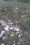 GCHeko_20130420150755.jpg