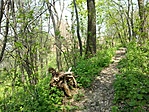 GCKERV_20130420125517.jpg