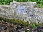 Forrás