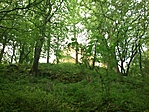 Visszaút