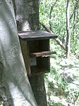 GCBIFA_20130428115047.jpg