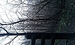 GCvics_2013046185215.jpg