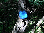 A láda