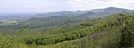 Panoráma