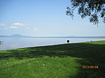 Balaton-part