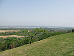 Panoráma