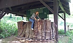 GCGESZ_20130519120421.jpg