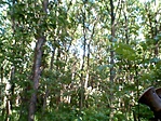 GCmape_20130510090111.jpg