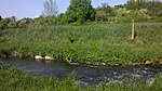 Séd