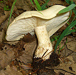 A láda egyik őre volt! :)