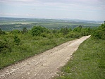 Kilátás