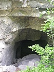 Árvalányhaj